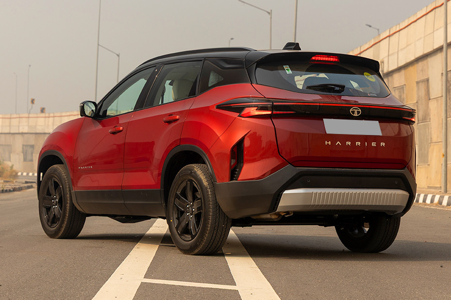 Harrier Adventure